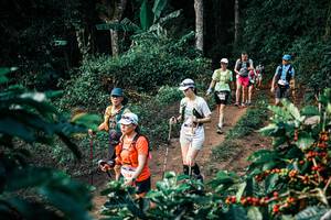 BIB: 
                            <button type="button" onclick="openModal(25824797)" class="btn btn-primary btn-sm float-right btn-popup" data-toggle="modal" data-target=".modal-high-quality">
                        <i class="fas fa-shopping-cart"></i> Add to Cart
                    </button>
                                            <button type="button" onclick="isThisMe(25824797, true)" class="btn btn-success btn-sm float-right btn-popup btn-isme hidden" data-toggle="tooltip" data-placement="bottom" title="นี่คือรูปของคุณใช่ไหม คลิกที่นี่เพื่อเอาเข้าอัลบั้ม">
                        <i class="fas fa-plus"></i> Add to album
                    </button>
                    <button type="button" onclick="isThisMe(25824797, false)" class="btn btn-warning btn-sm float-right btn-popup btn-isnotme hidden">
                        <i class="fas fa-ban"></i> Remove from album
                    </button>